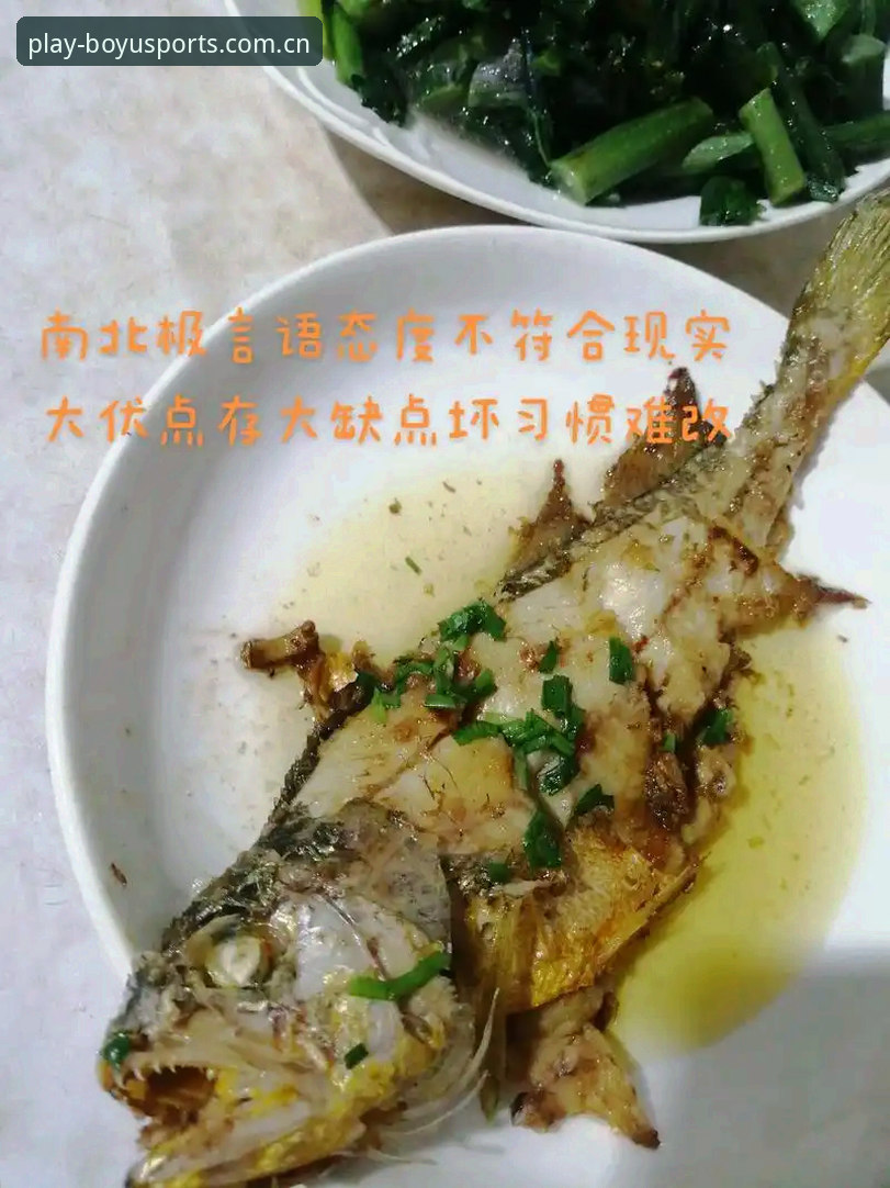 资深用户分享：从新手到达人，博鱼平台官网使用心得