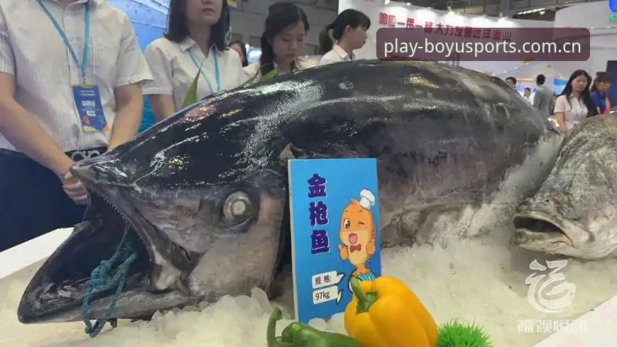 博鱼体育使用教程怎么下载 为什么选择博鱼体育使用教程怎么下载?专业分析师带你全面解析